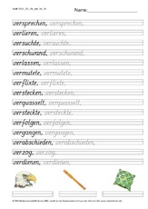 DSS_2S_Bu_ver_Nr_06.pdf